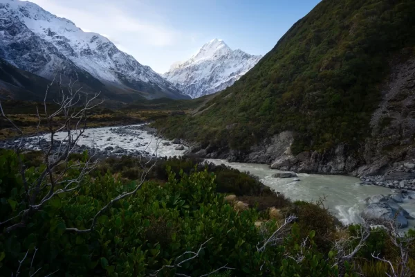 Mt Cook in the distance with the hooker river flowing down and alpine flowers and plants