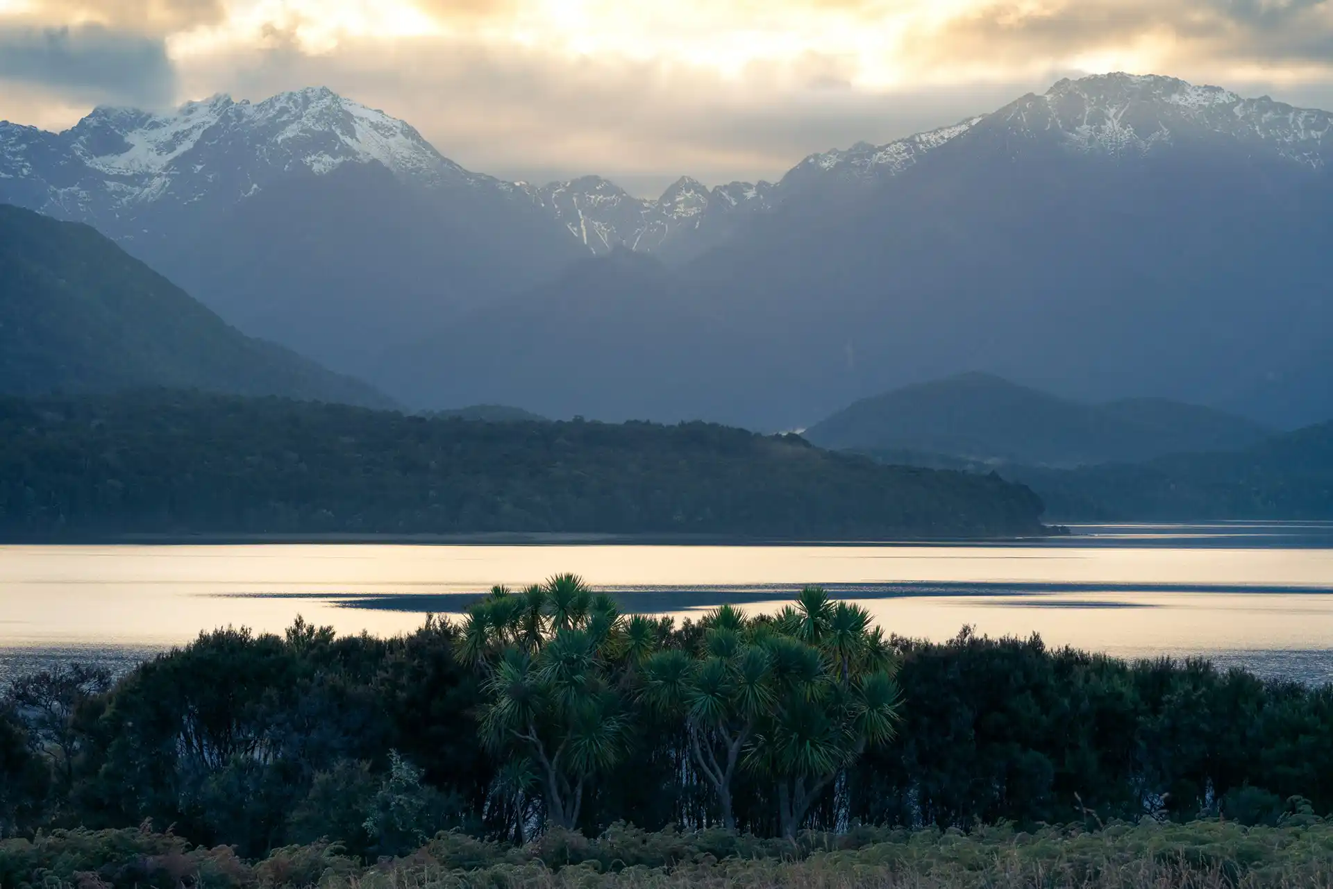 Lake Manapouri with mountains in the distance and cabbage trees in the foreground