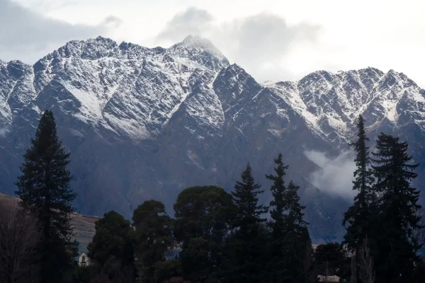 Pine trees in front of the snow capped Remarkable mountains in Queenstown