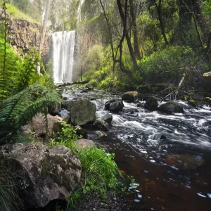 Trentham Falls waterfall with ferns, rocks and trees below