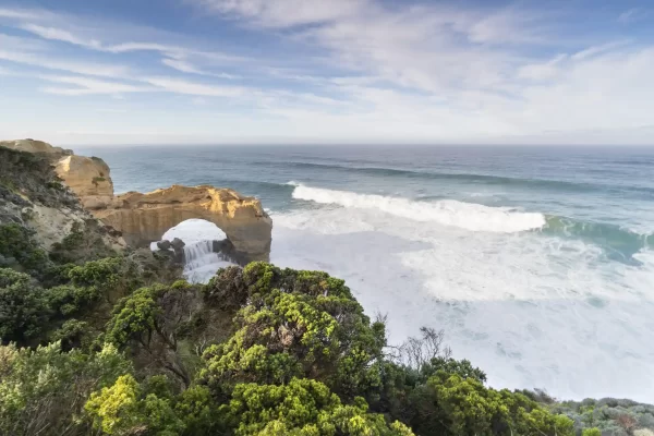 The Arch with waves breaking on the coast with blue skies and green coastal flowers