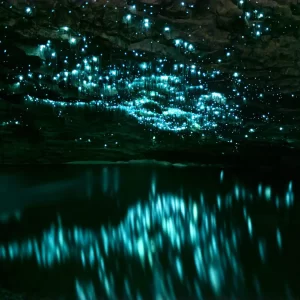 Large cave with thousands of glowworms on the roof and reflecting in the pool below