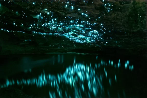 Large cave with thousands of glowworms on the roof and reflecting in the pool below