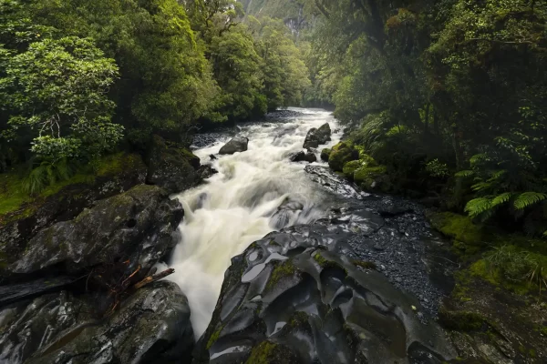 Water flows through The Chasm in an underwater channel with beech forest either side