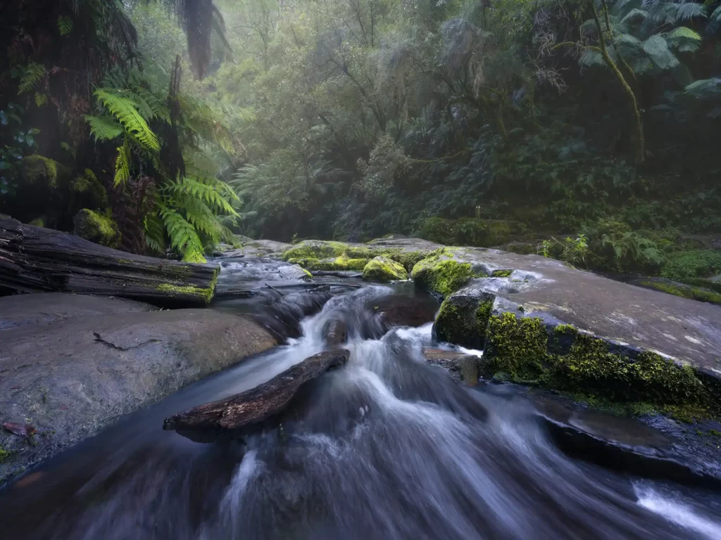 The Click Collective Ballarat photography service waterfalls the otways workshop learn landscape