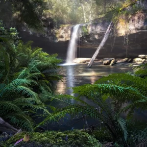 Kalimna Falls Waterfall with ferns in front