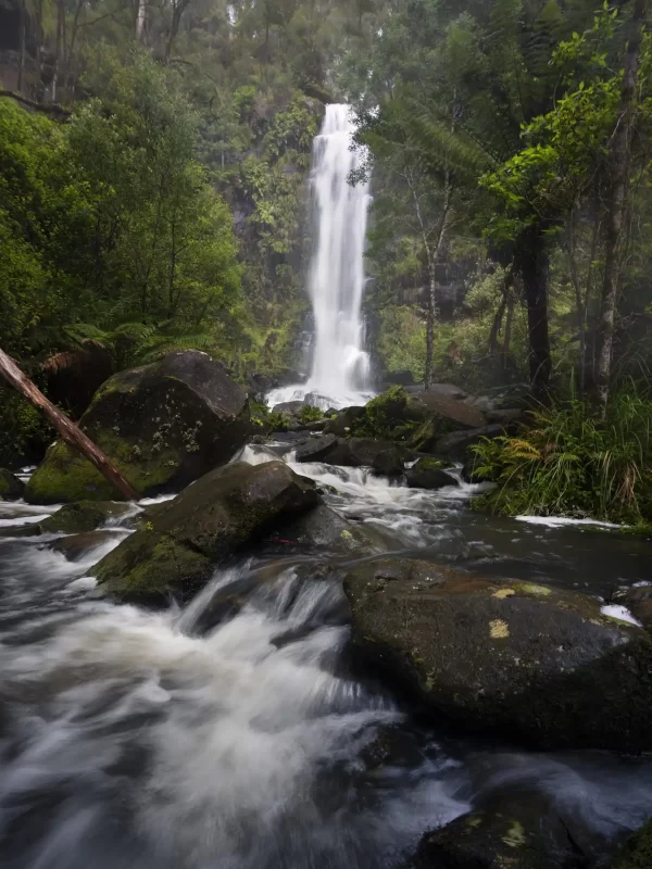 Erskine Falls waterfall with water flowing over rocks below