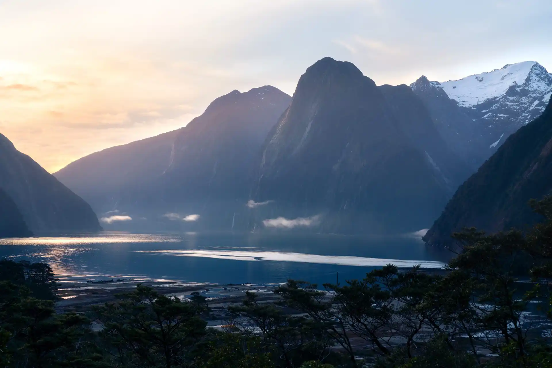 Milford Sound with an orange sunset with beech trees in the foreground